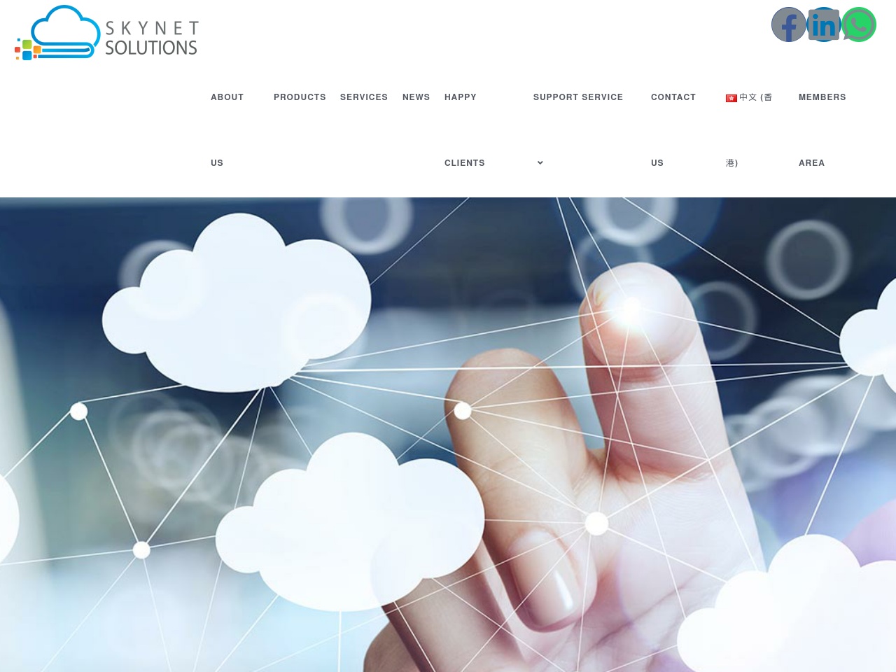 skynet-solutions.com.hk screenshot alt-text