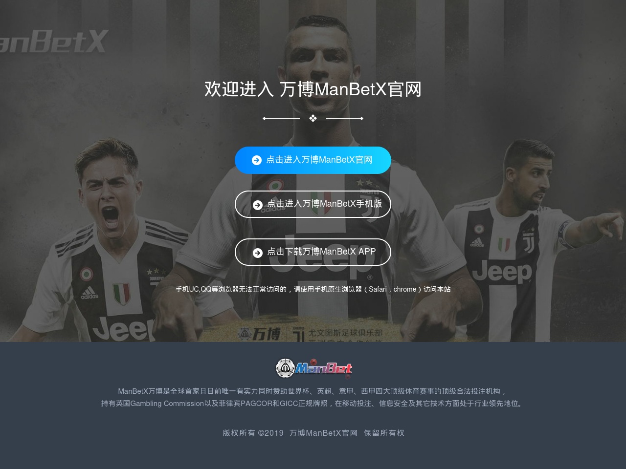 alt-text