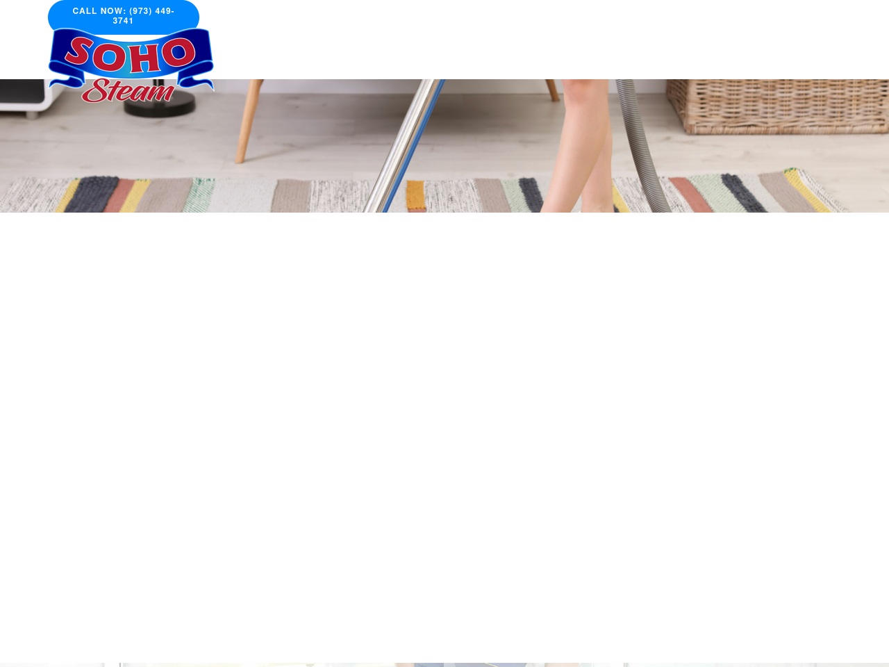 sohosteamcleaning.com screenshot alt-text