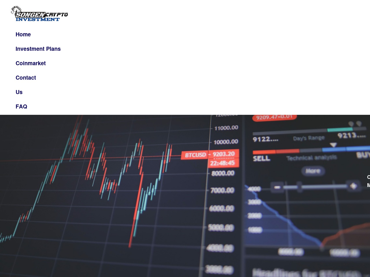 songencryptoinvestos.com screenshot alt-text