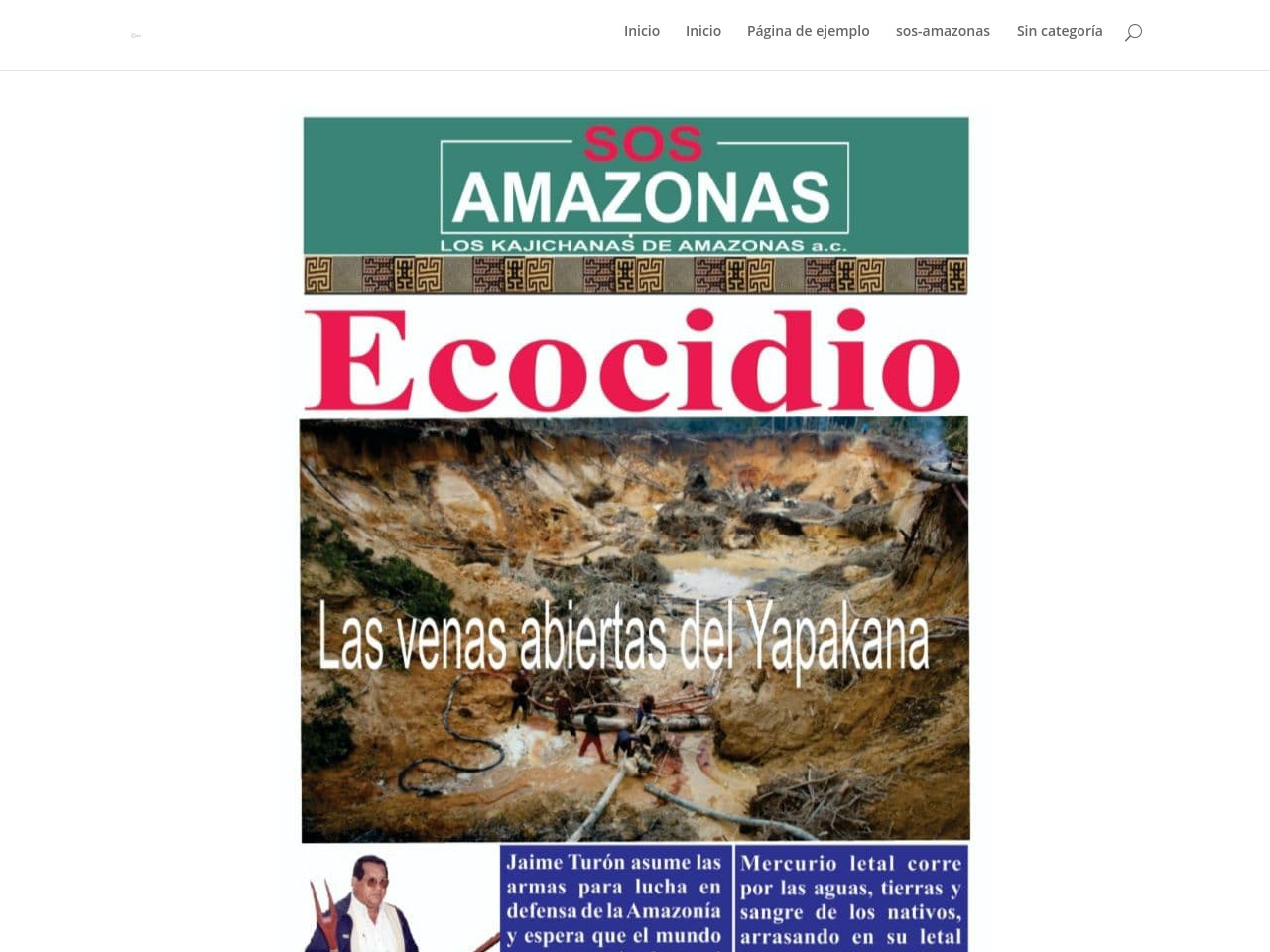 sos-amazonas.com screenshot alt-text