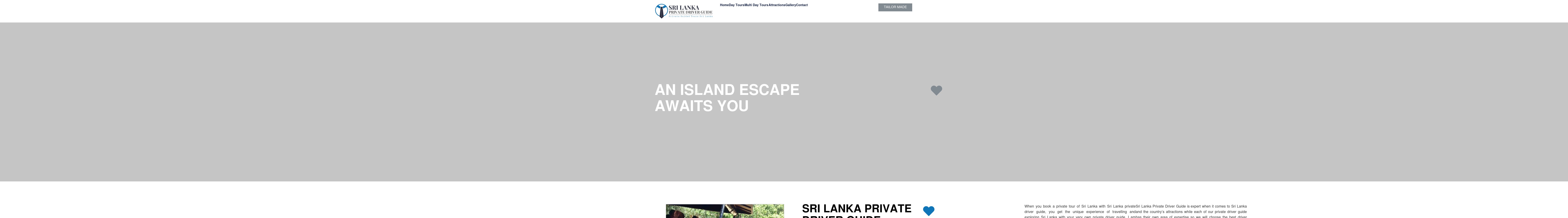 srilankaprivatedriverguide.com screenshot alt-text