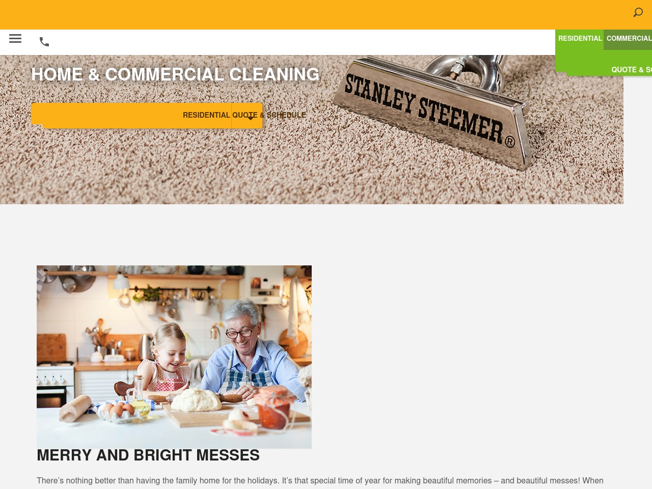 stanleysteemeroh.com screenshot alt-text