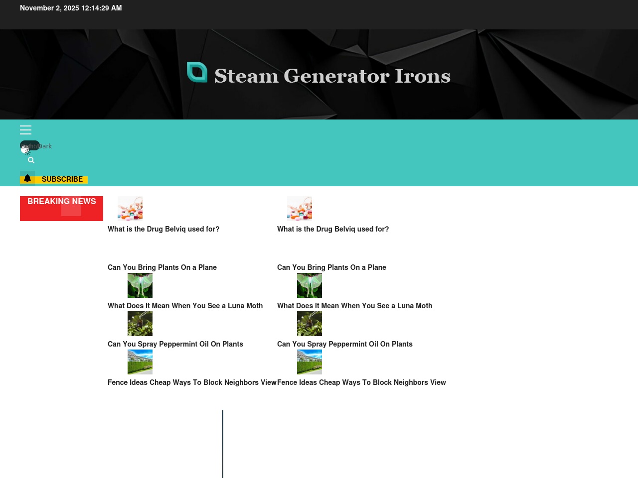 steamgeneratorirons.net screenshot alt-text