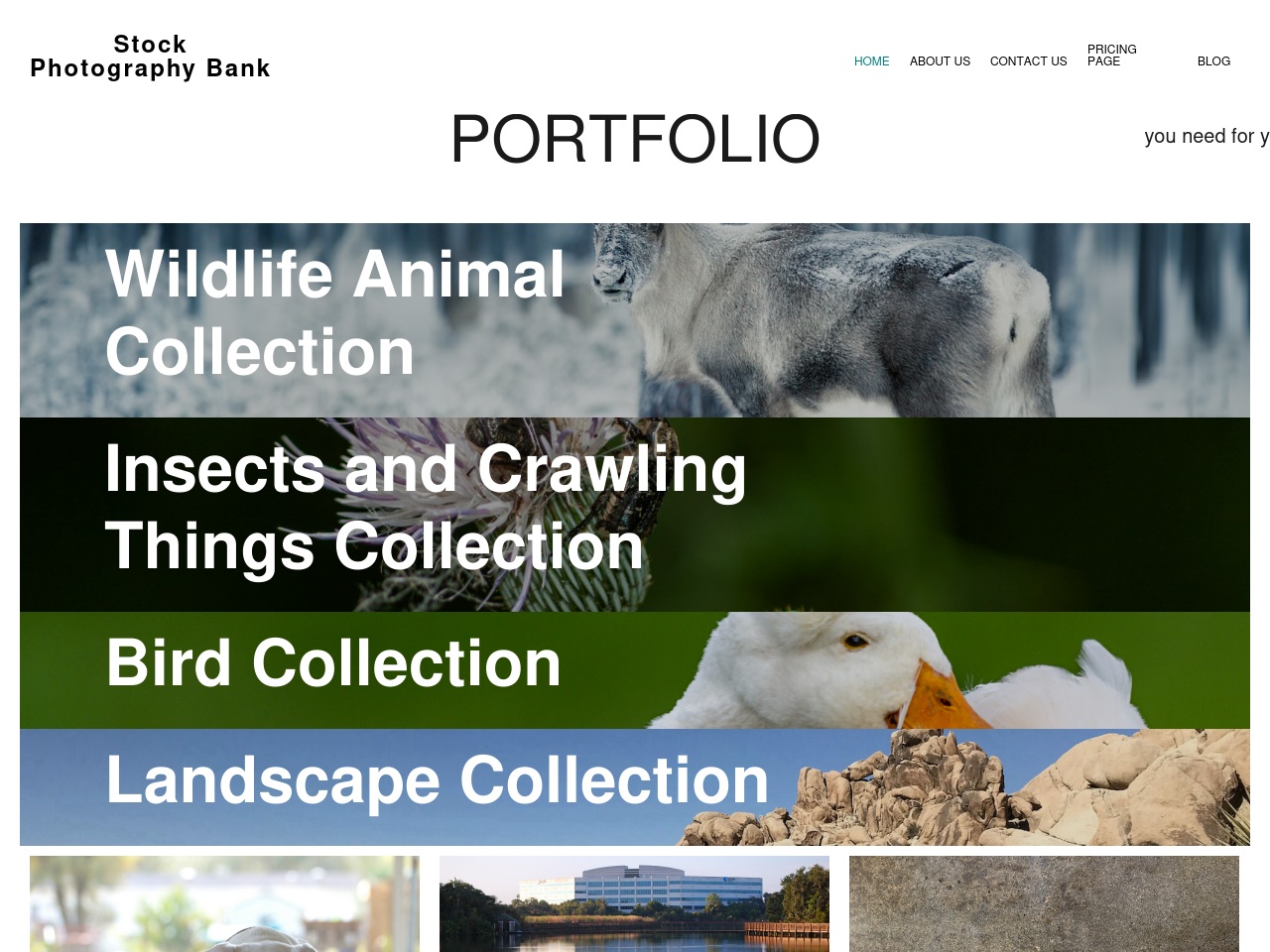 stockphotographybank.com screenshot alt-text