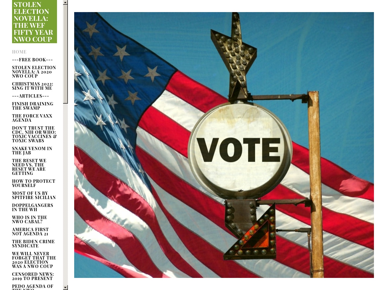 stolenelectionnovella.com screenshot alt-text