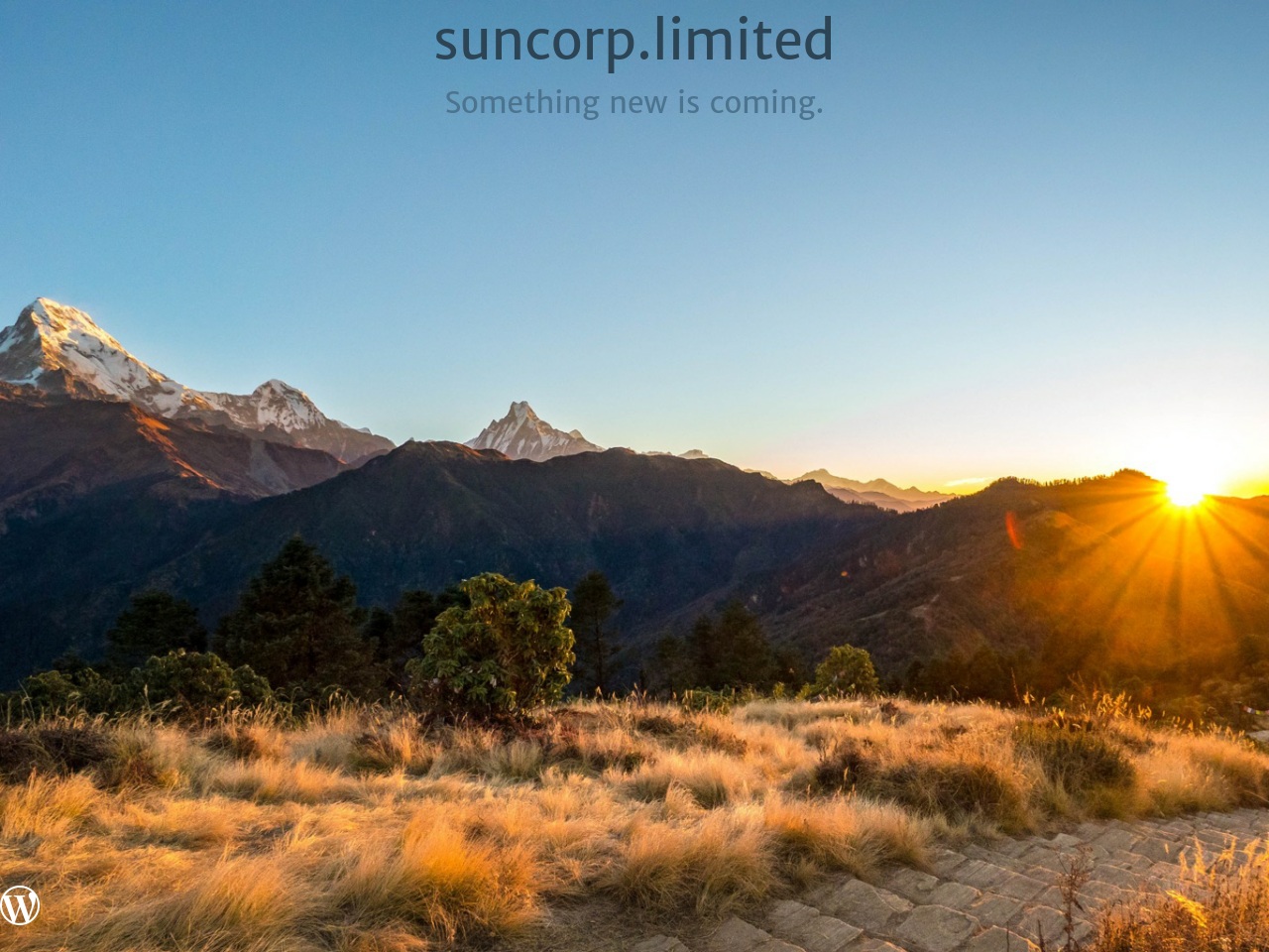 suncorp.limited screenshot alt-text