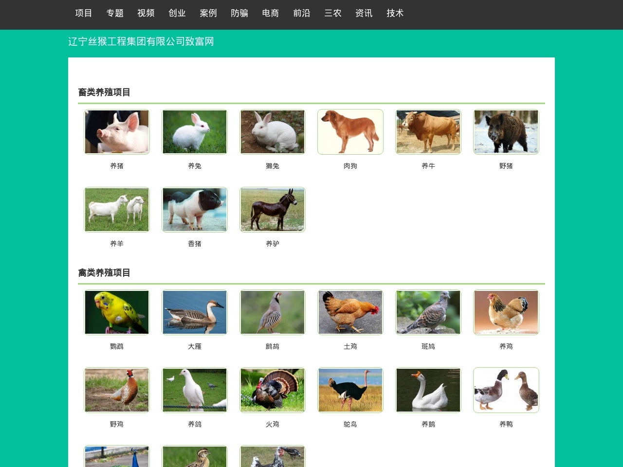 sunshinecoastsupport.com screenshot alt-text