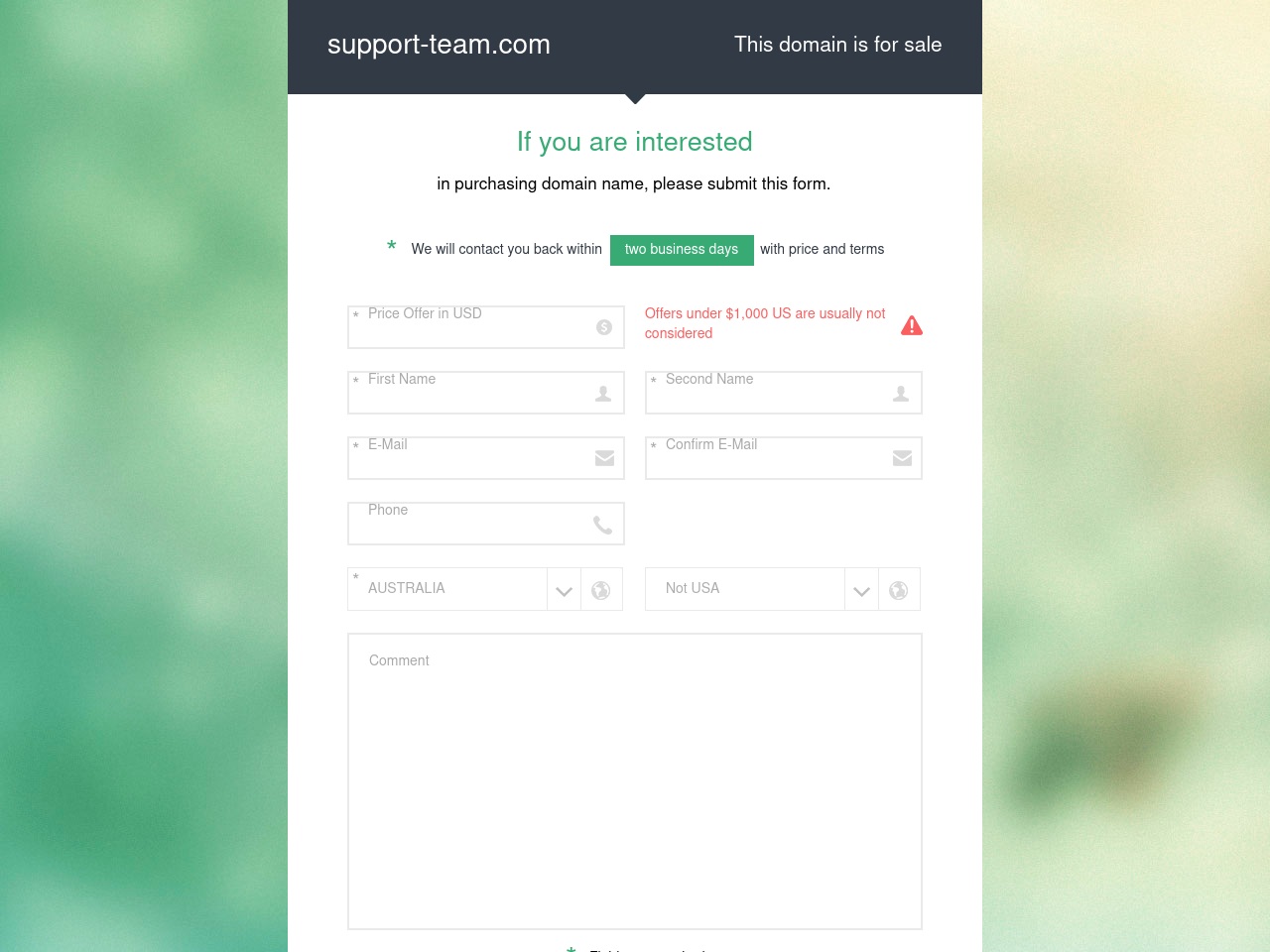 support-team.com screenshot alt-text