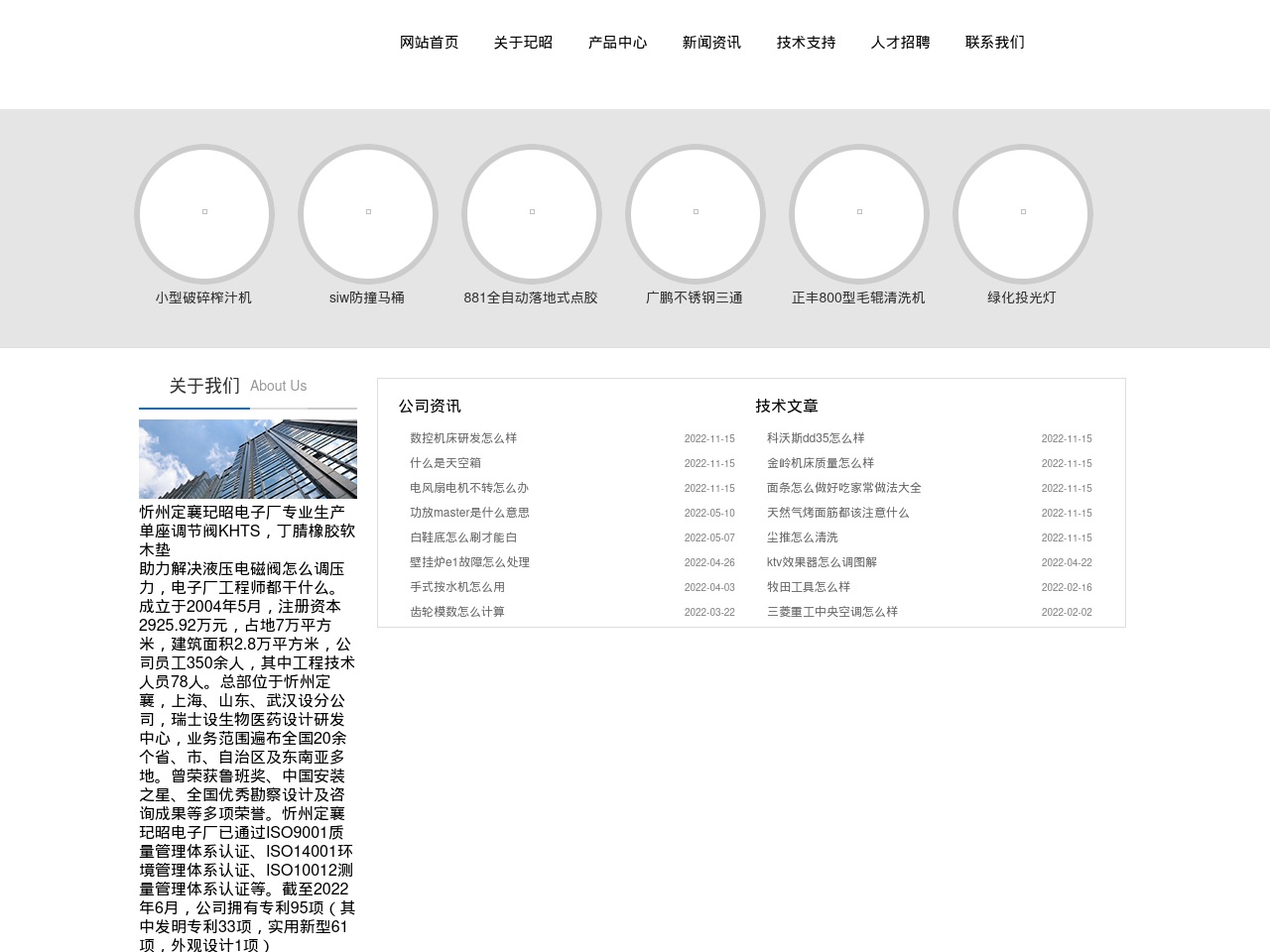 support313.com screenshot alt-text