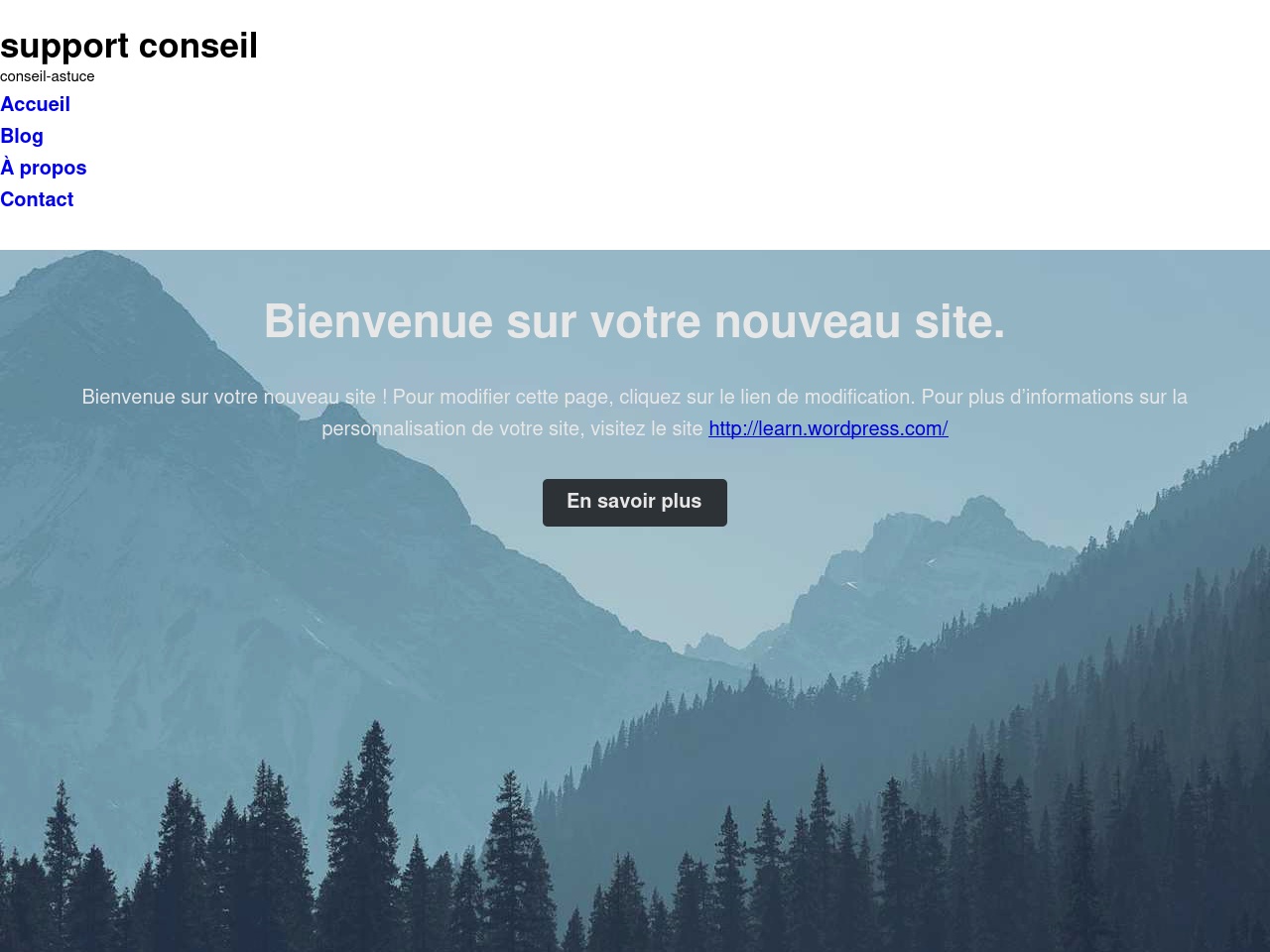 supportconseil.com screenshot alt-text