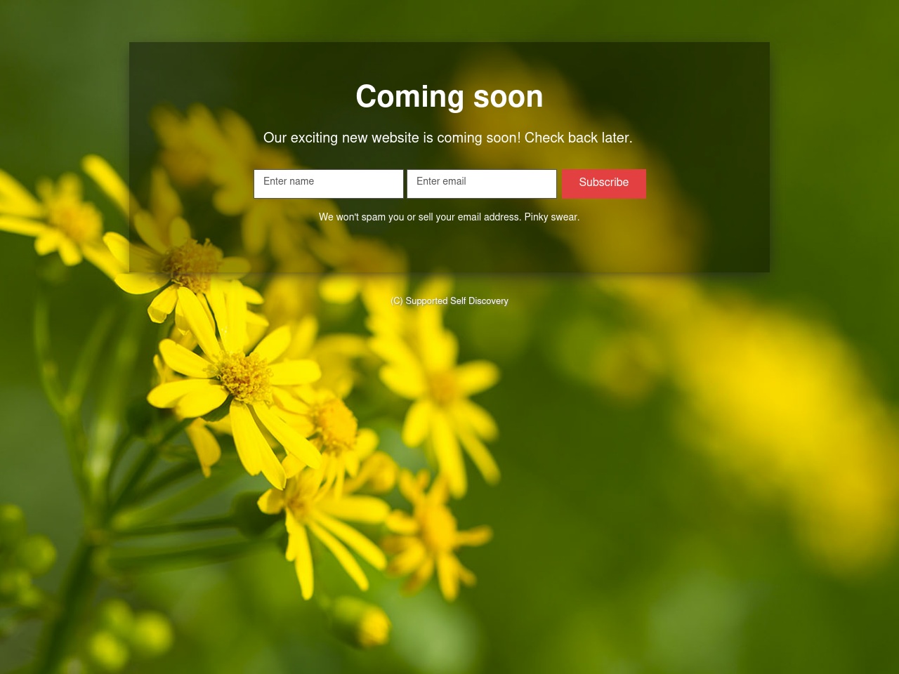 supportedselfdiscovery.com screenshot alt-text