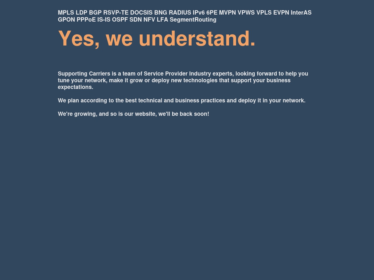 alt-text