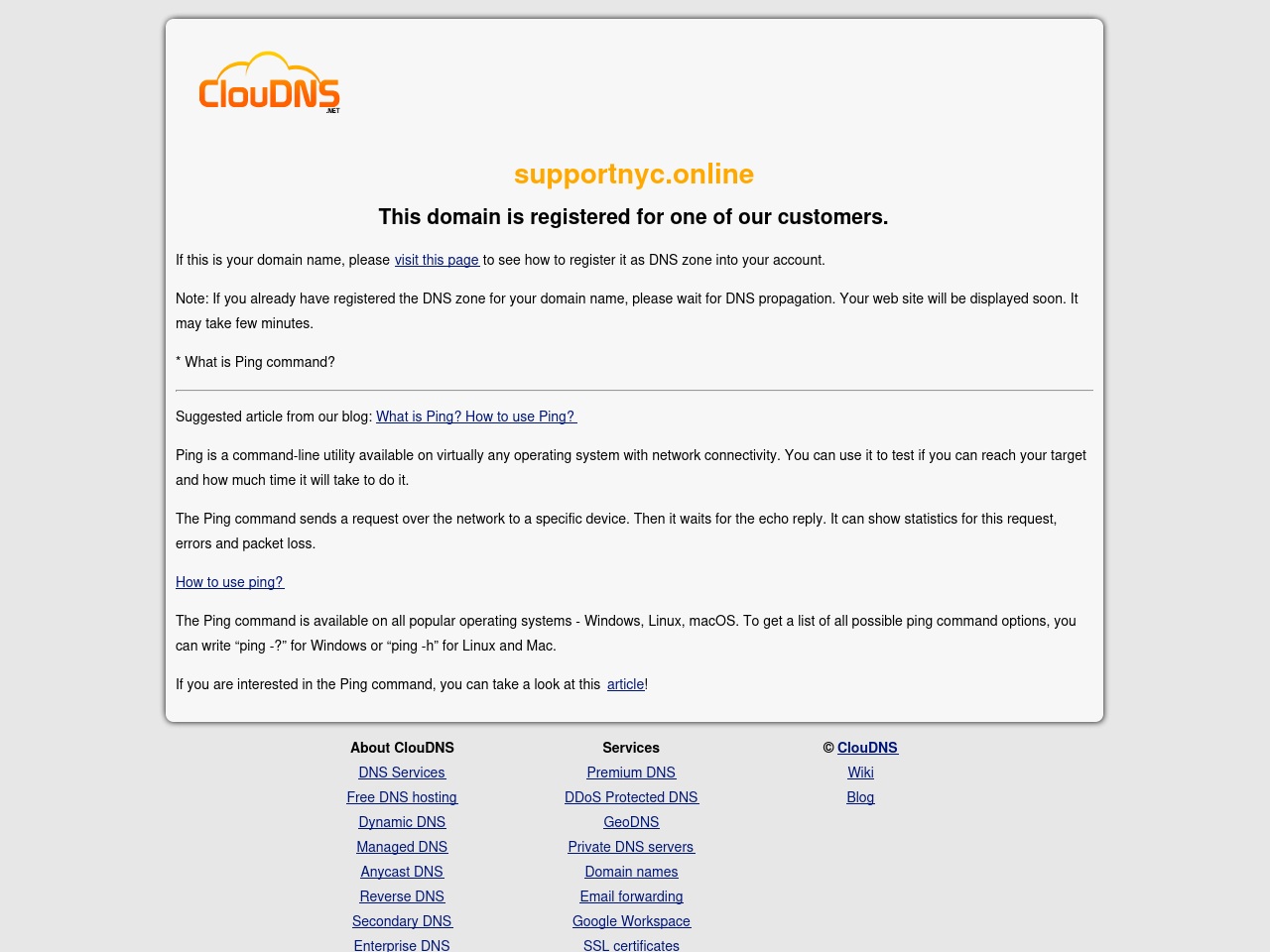 supportnyc.online screenshot alt-text