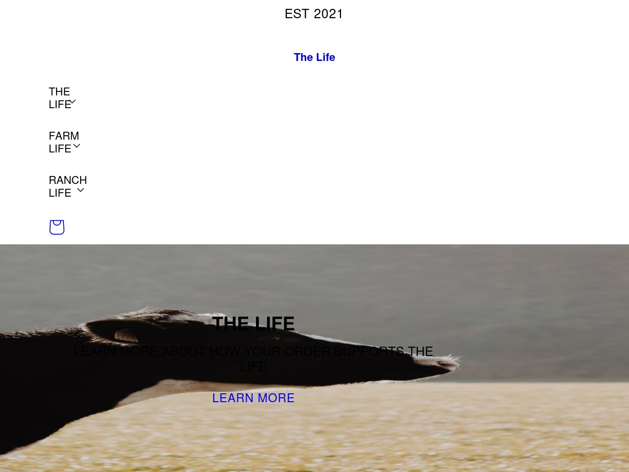 supportthelife.com screenshot alt-text