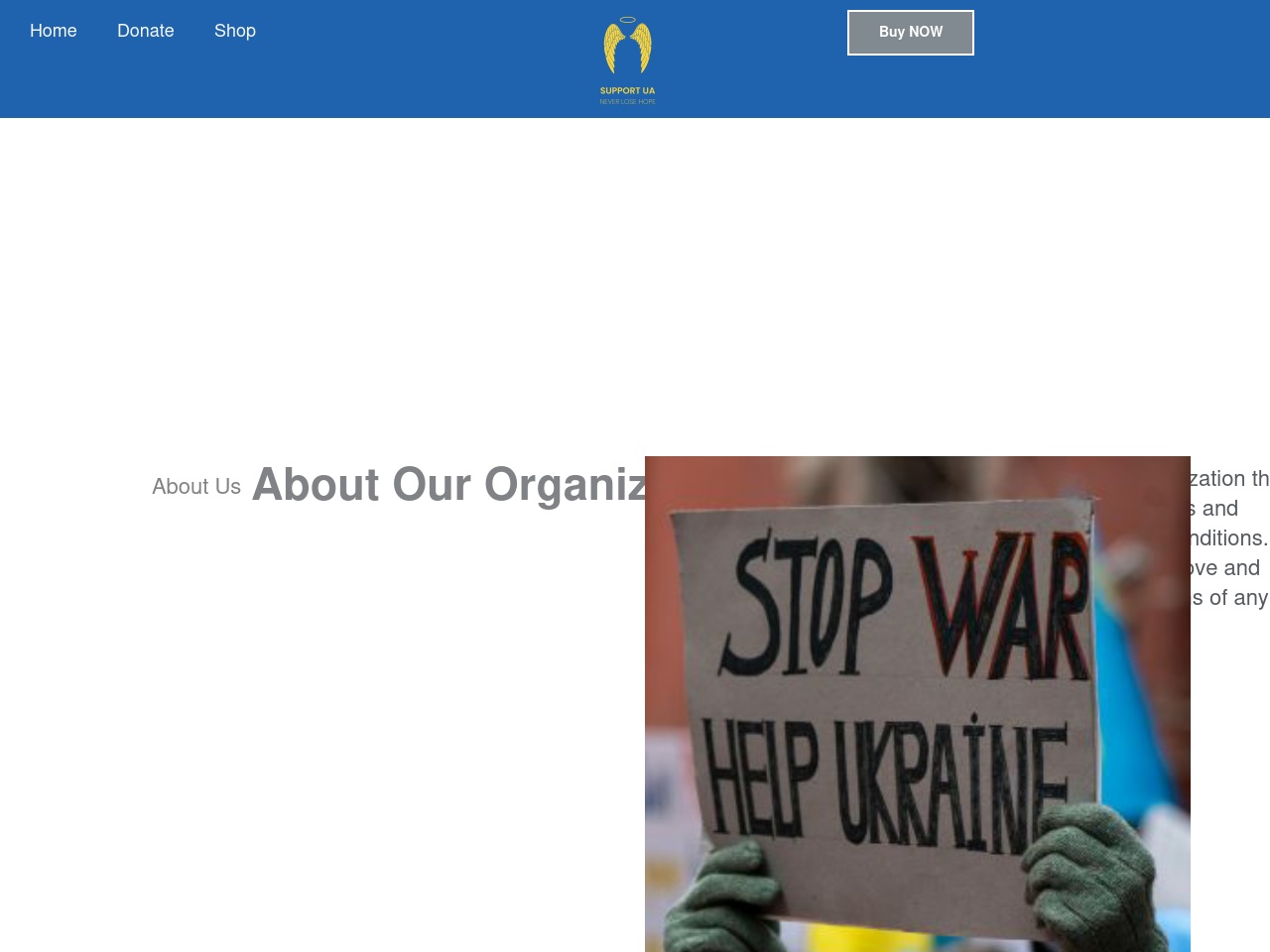 supportua.online screenshot alt-text