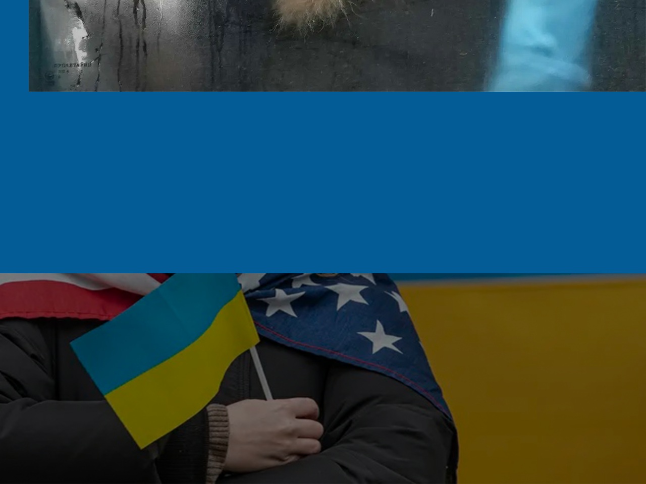 supportukrainefreedom.com screenshot alt-text
