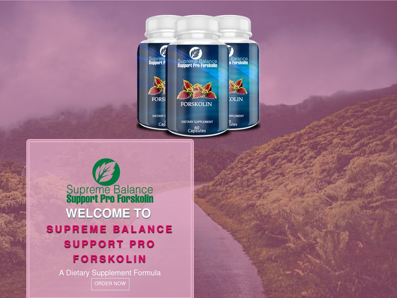 supremebalancesupportpro.com screenshot alt-text