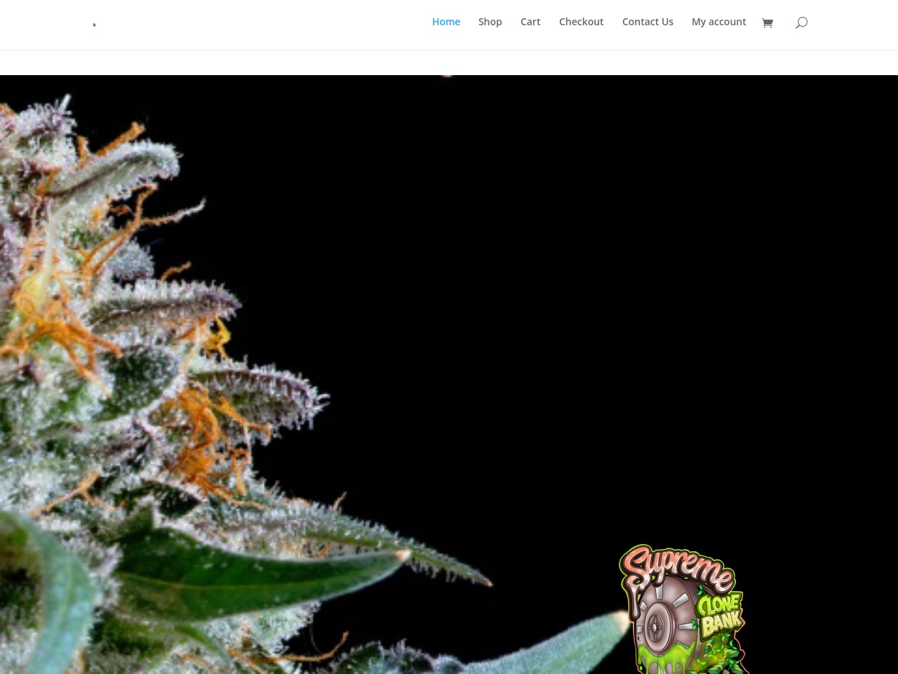 supremeclonebank.com screenshot alt-text