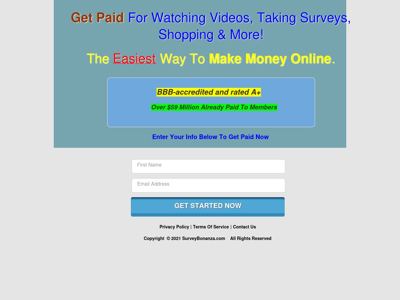 surveybonanza.com screenshot alt-text
