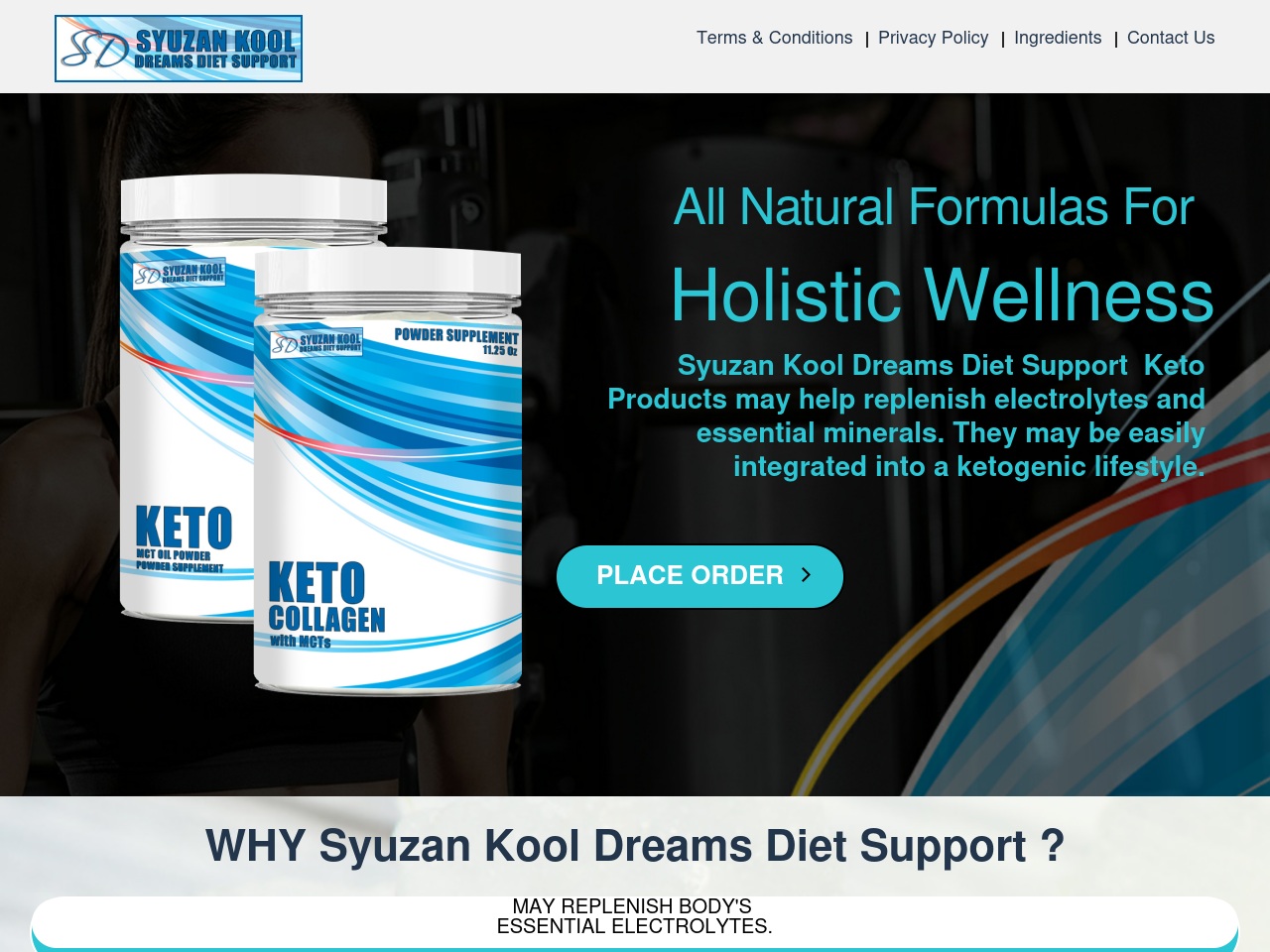 syuzankooldreamsdietsupport.com screenshot alt-text