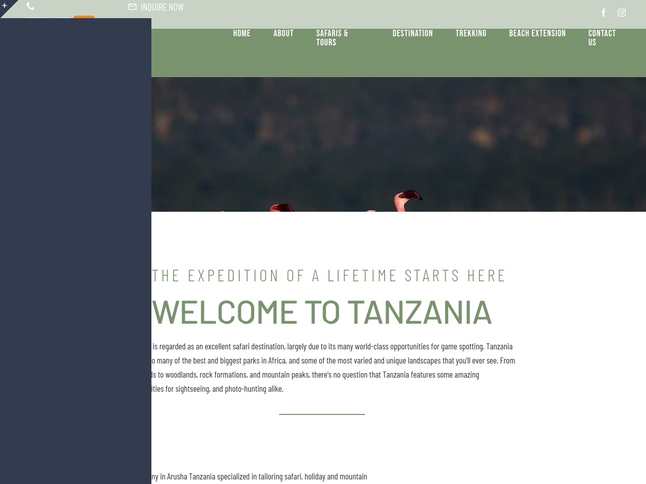 talesoftanzaniasafaris.com screenshot alt-text