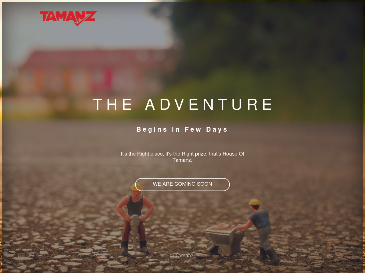 tamanz.com screenshot alt-text