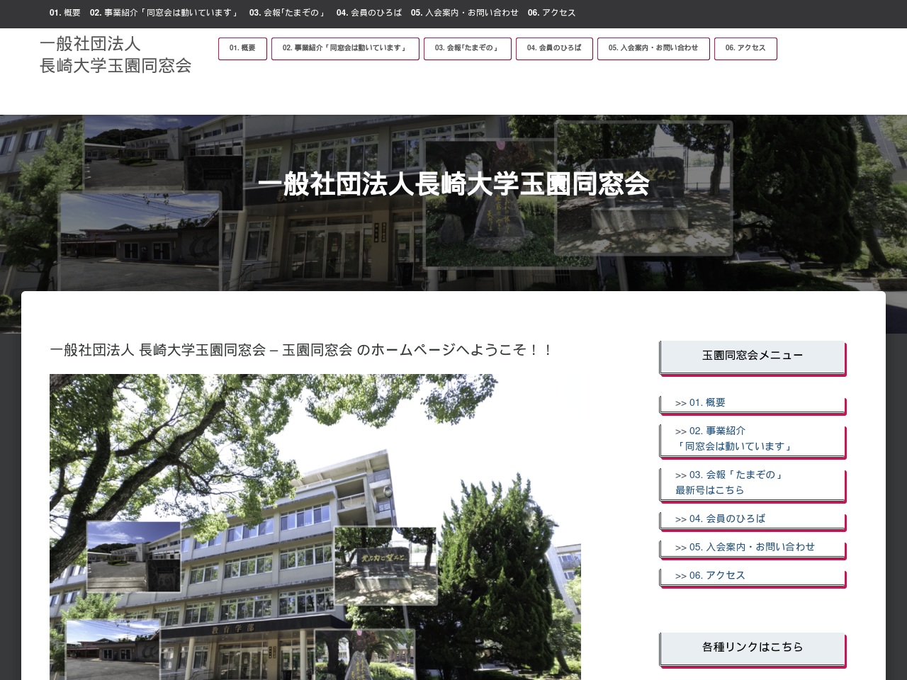 tamazono.net screenshot alt-text
