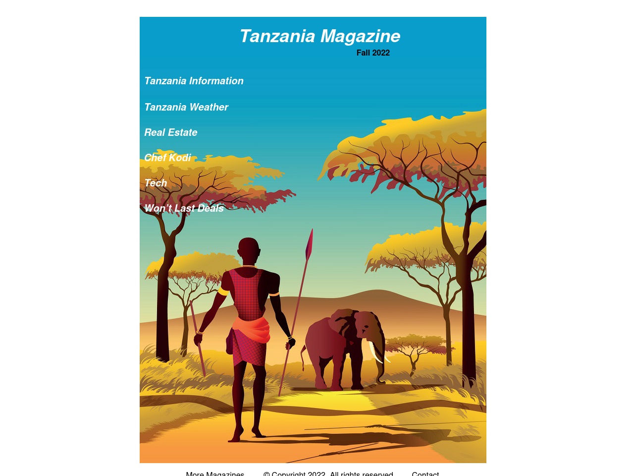 tanzaniamagazine.com screenshot alt-text