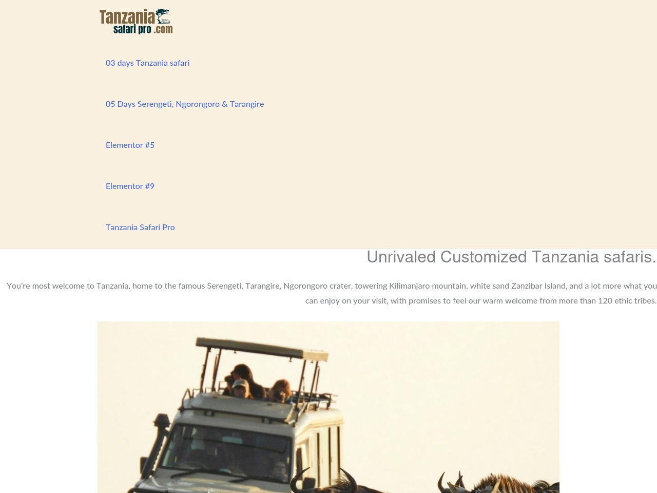 tanzaniasafaripro.com screenshot alt-text
