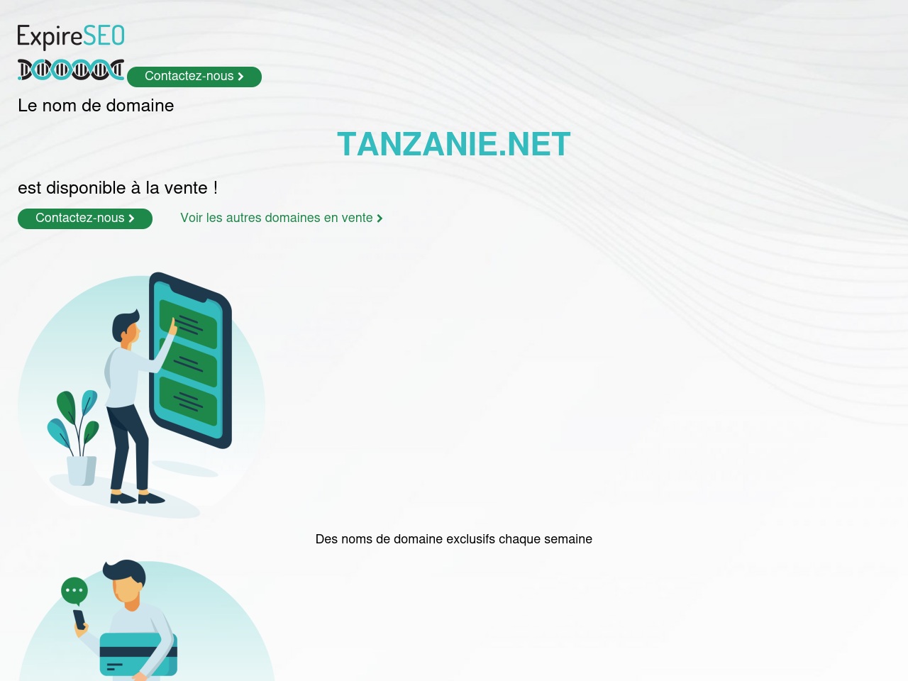 tanzanie.net screenshot alt-text