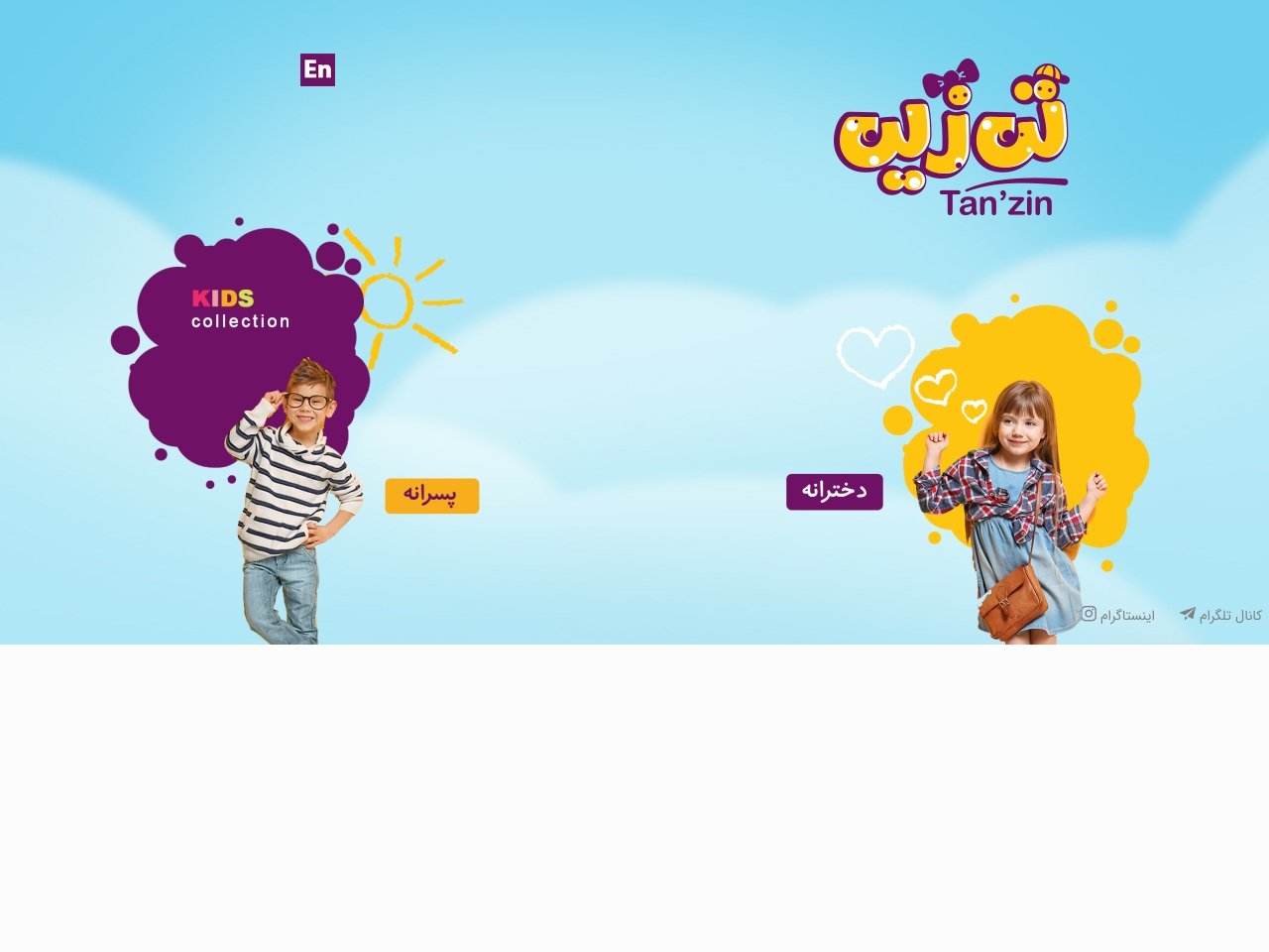 tanzinco.com screenshot alt-text