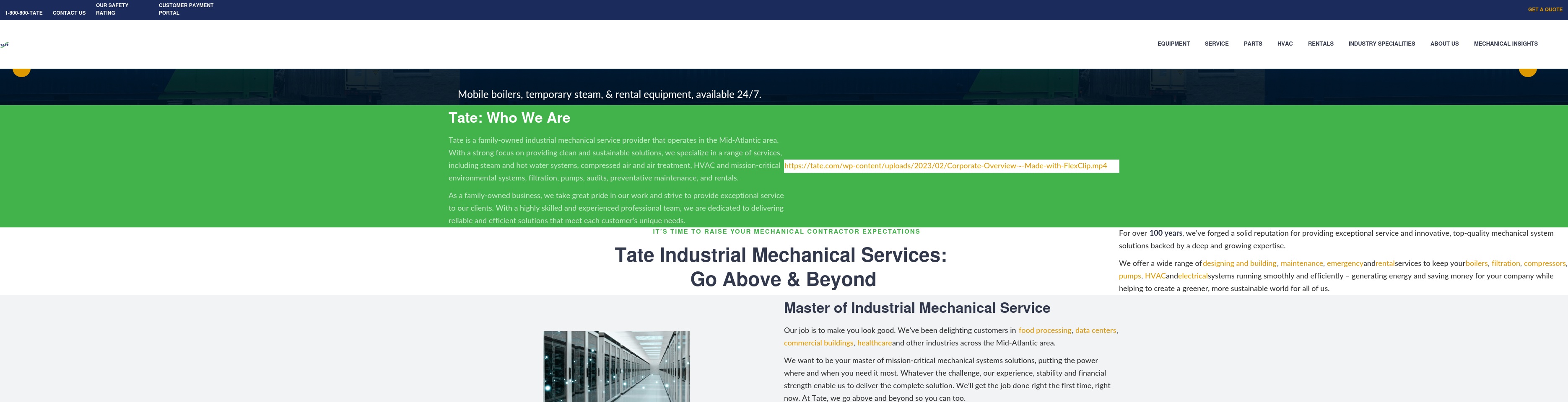 tate.com screenshot alt-text
