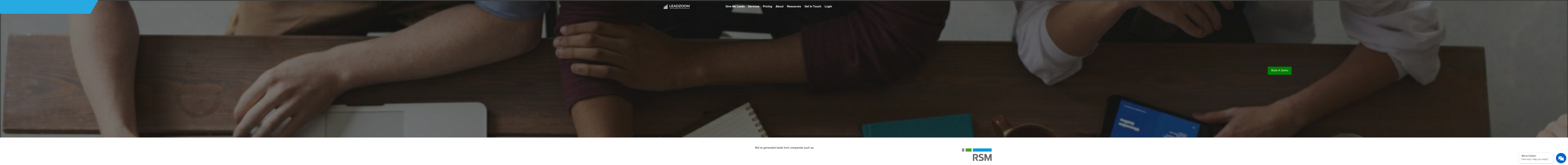 team-leadzoom.com screenshot alt-text