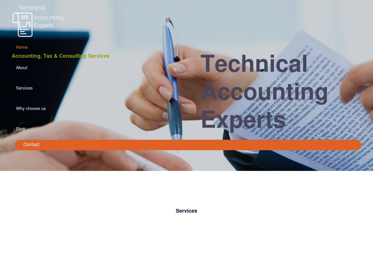 technicalaccountingexp.com screenshot alt-text