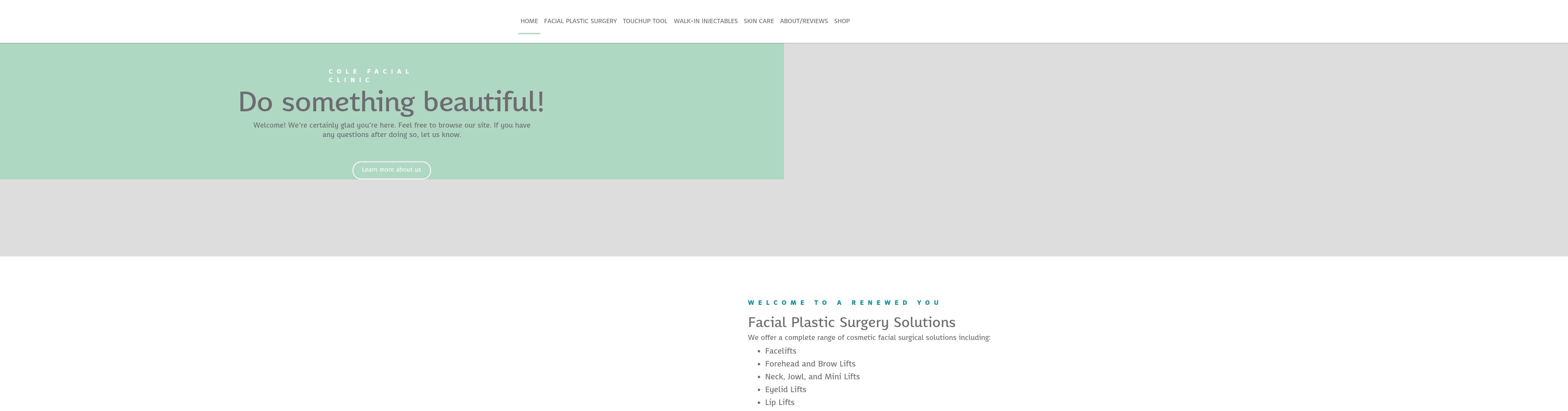 technicalfacelifts.com screenshot alt-text