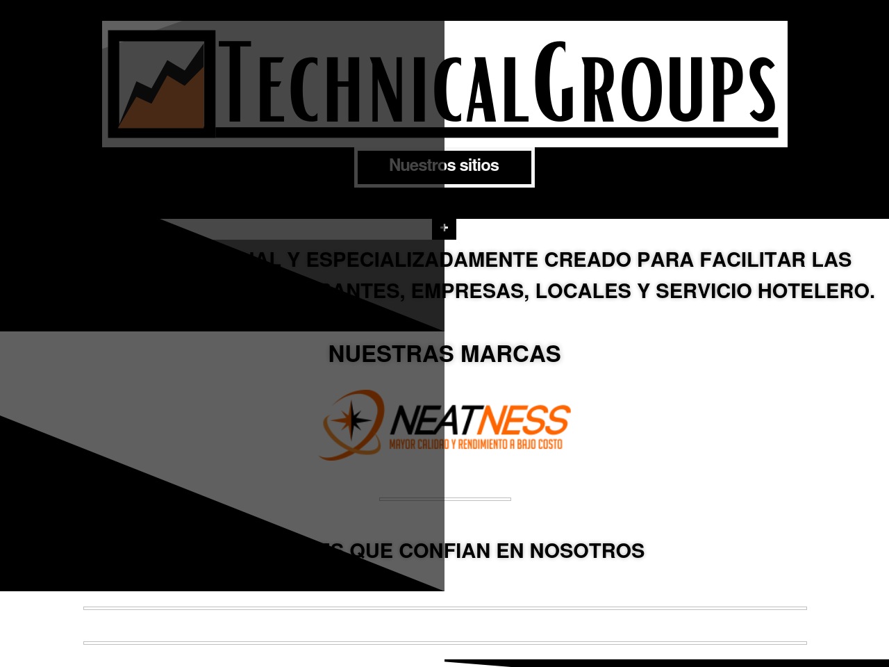 technicalgroups.com screenshot alt-text