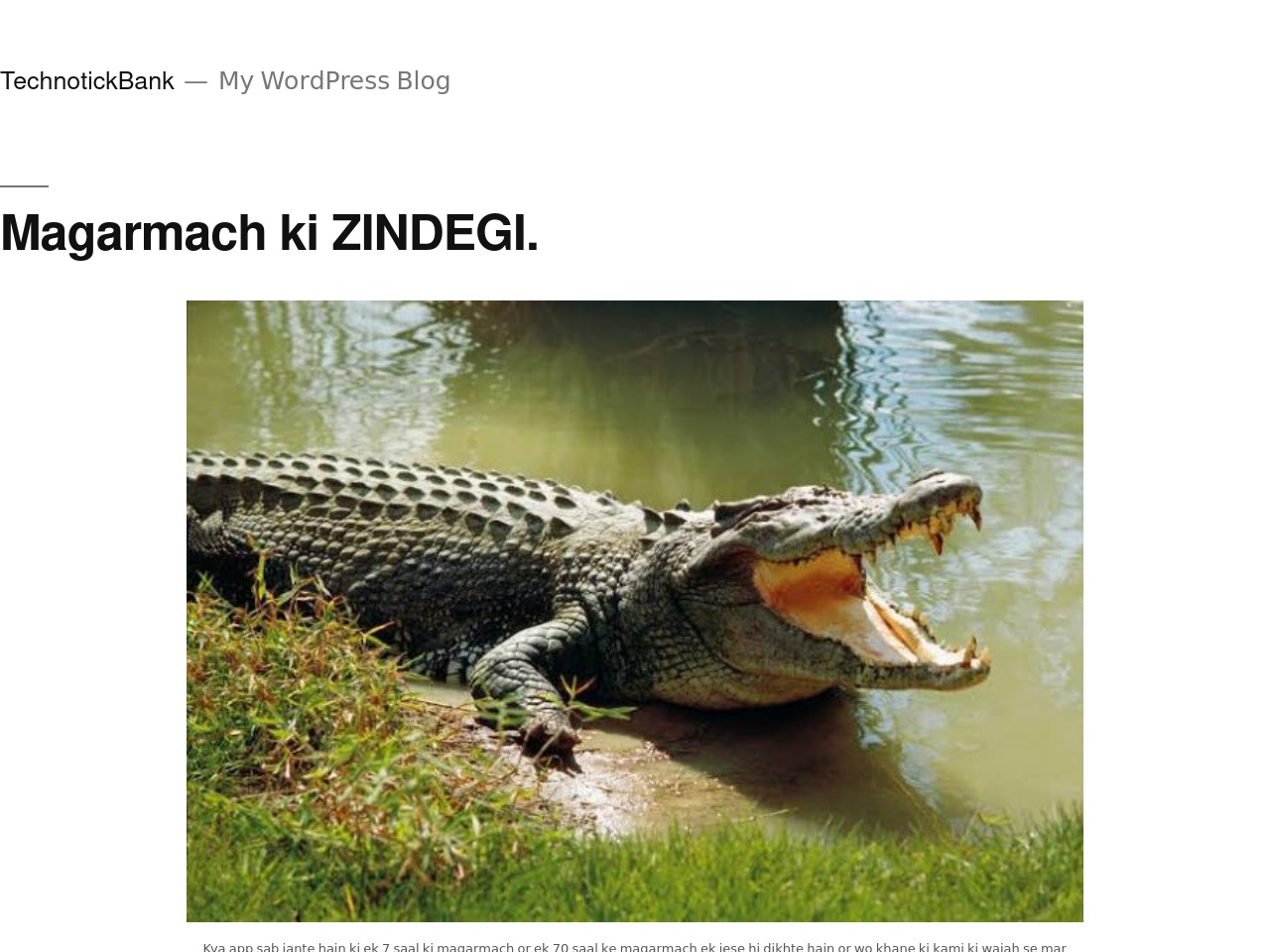 alt-text