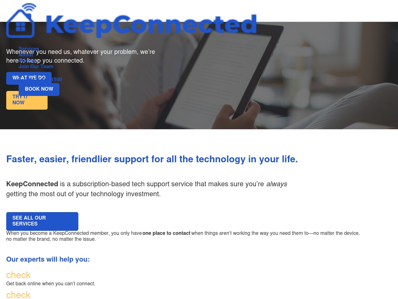 techsupportottawa.com screenshot alt-text