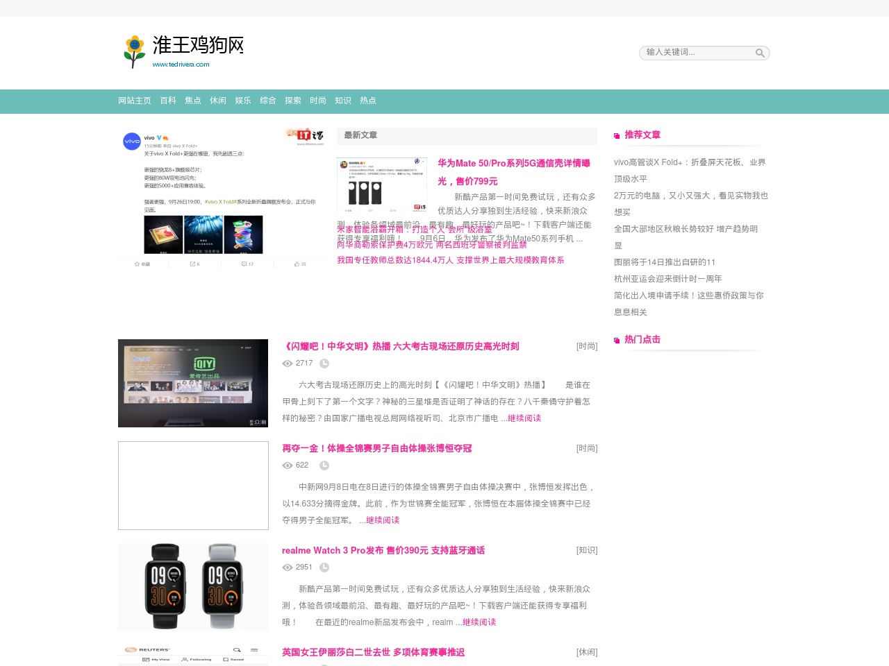 tedrivera.com screenshot alt-text
