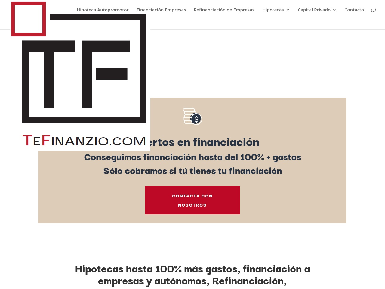 tefinanzio.com screenshot alt-text