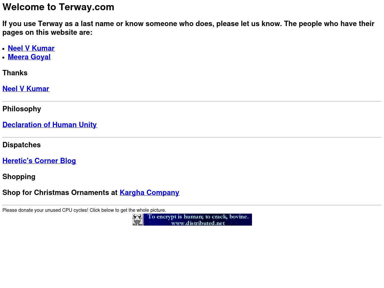 terway.com screenshot alt-text