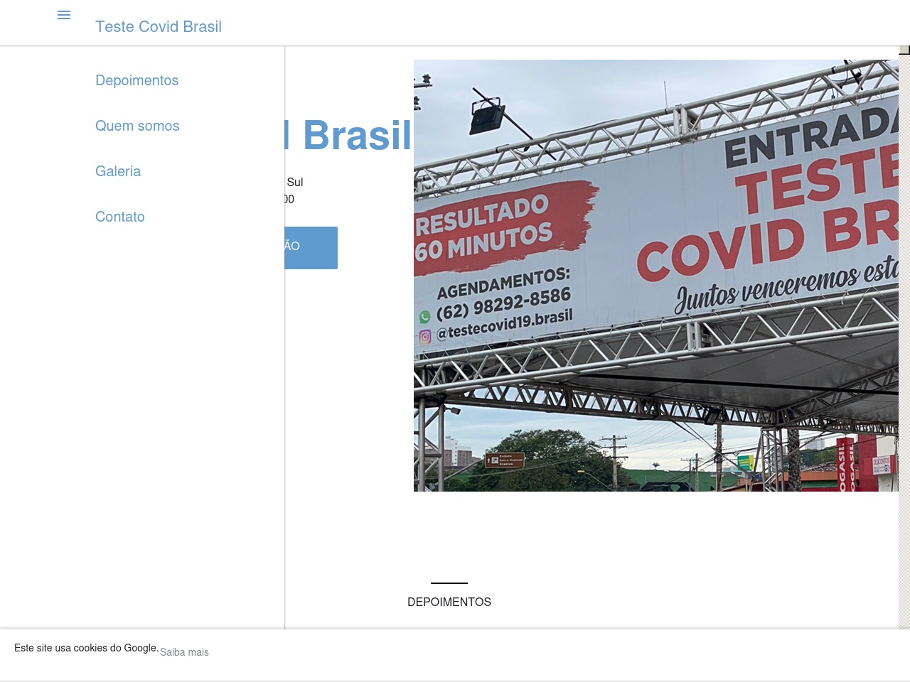 testecovidbrasil.com screenshot alt-text