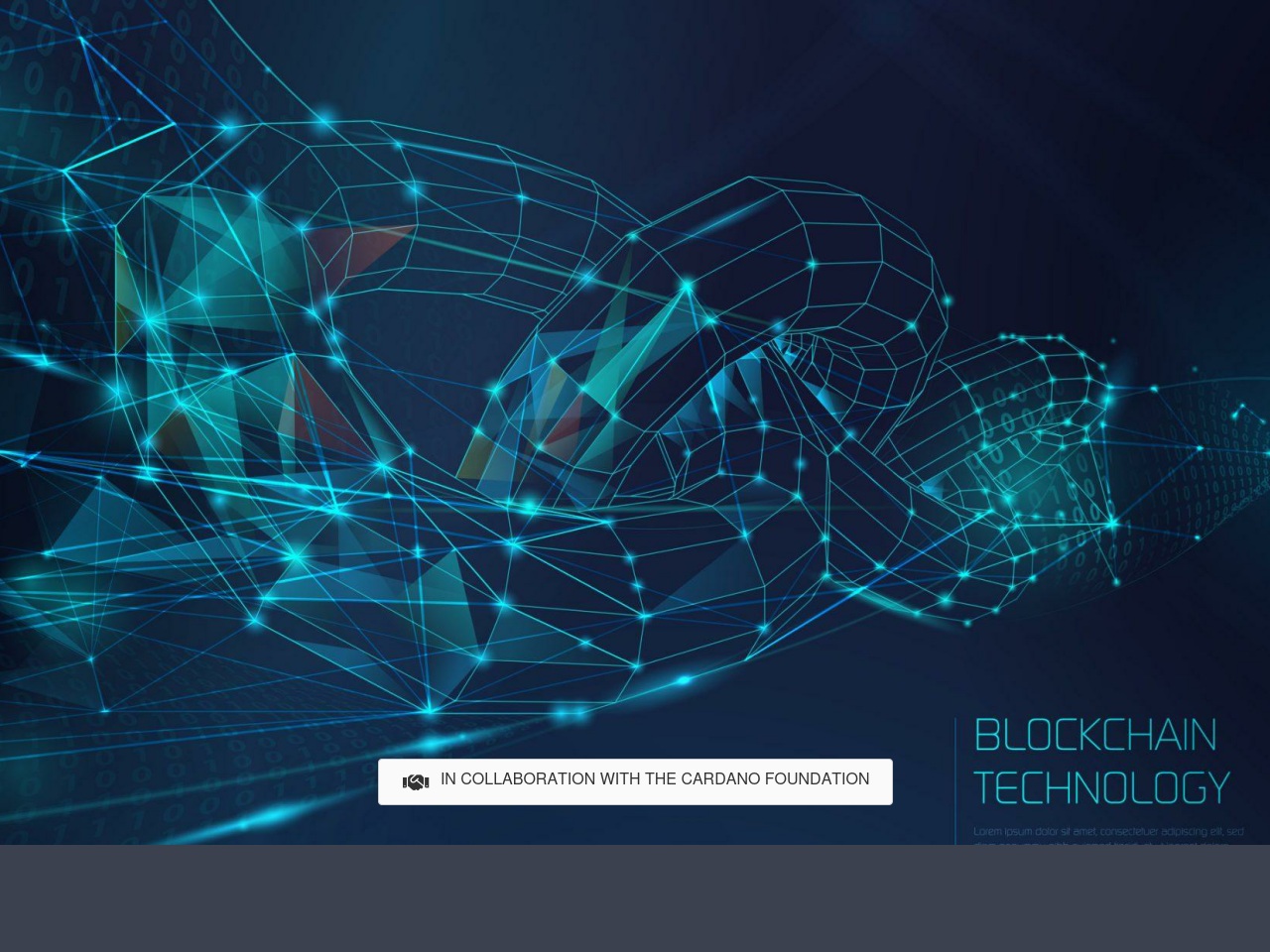 thealaskablockchain.com screenshot alt-text