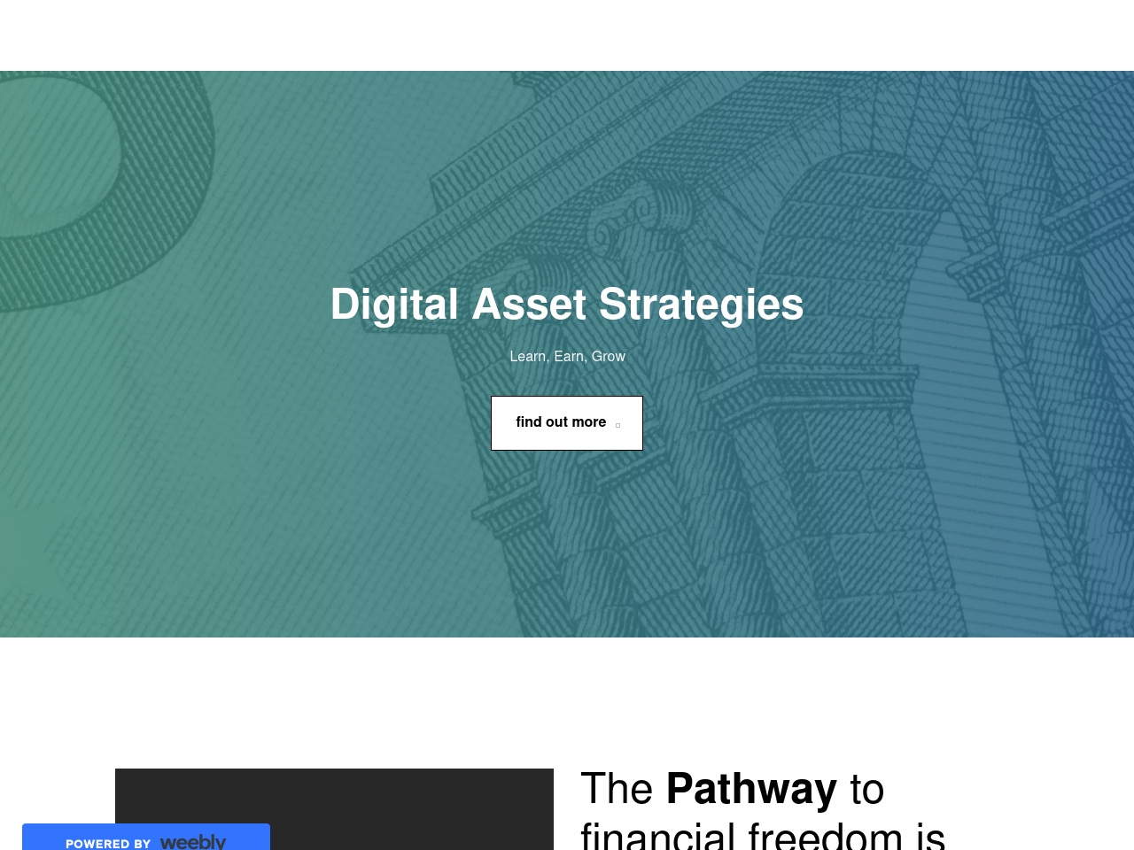 thebitcoinlink.com screenshot alt-text