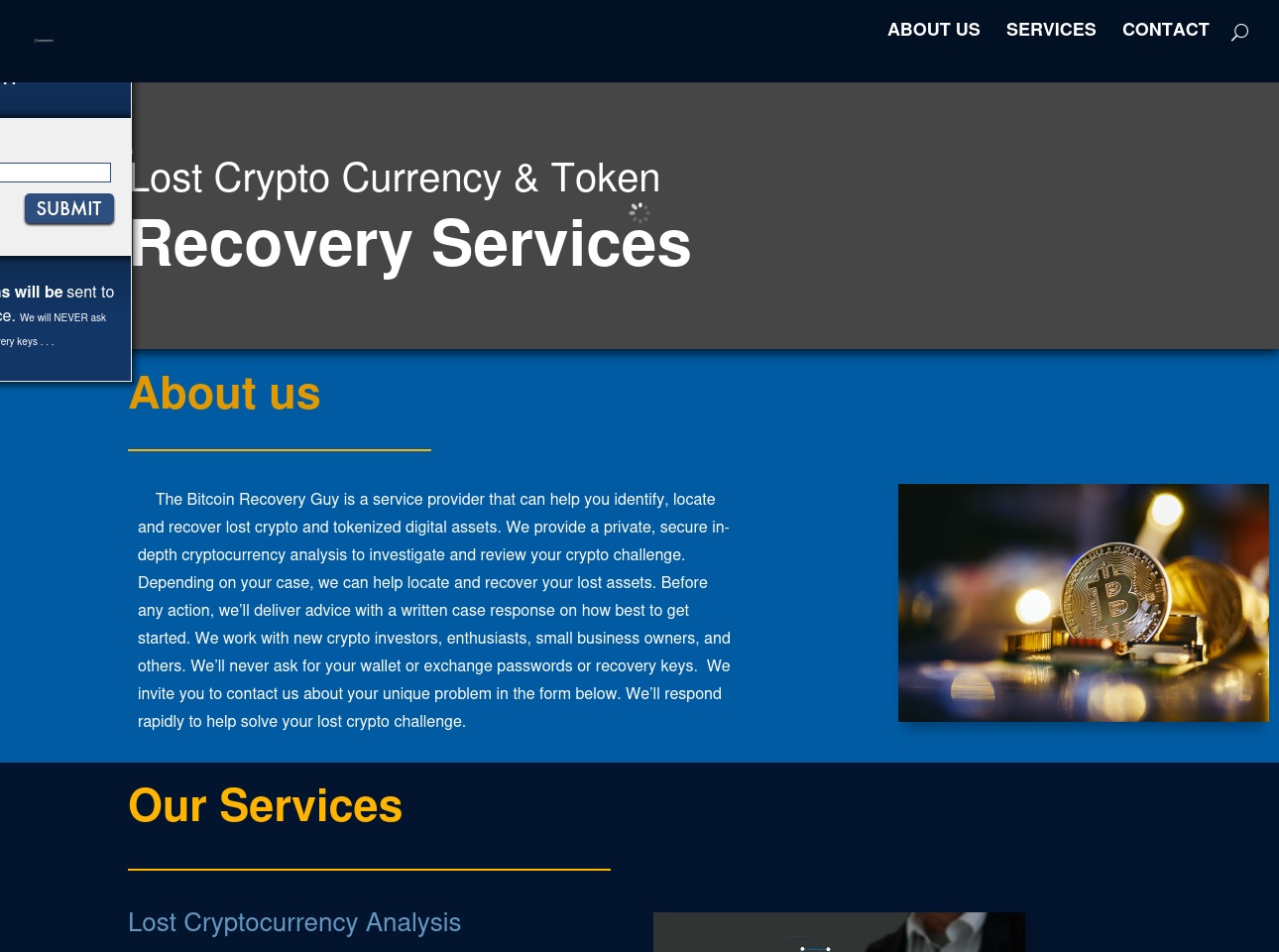 thebitcoinrecoveryguy.com screenshot alt-text