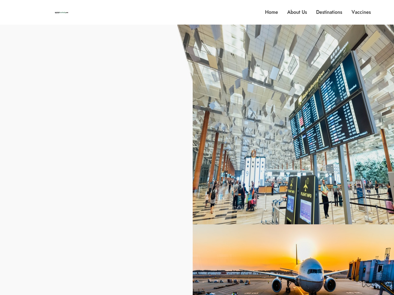 thecovidtraveltest.com screenshot alt-text