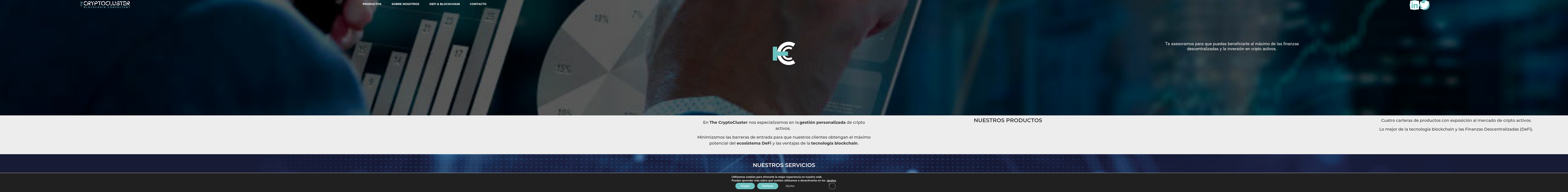 thecryptocluster.com screenshot alt-text