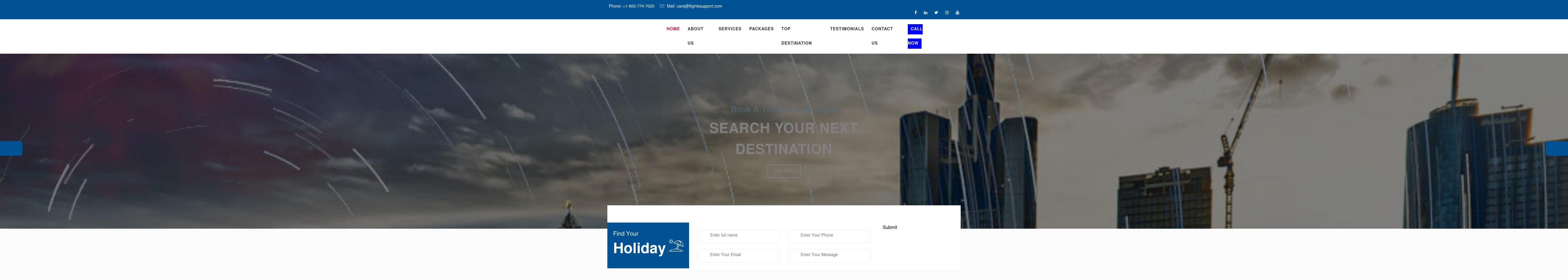 theflightssupport.com screenshot alt-text
