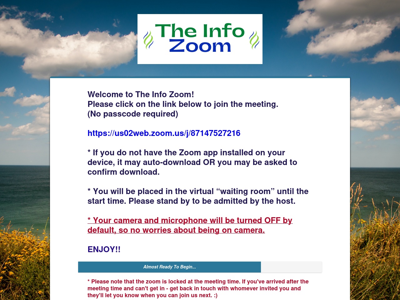 theinfozoom.com screenshot alt-text